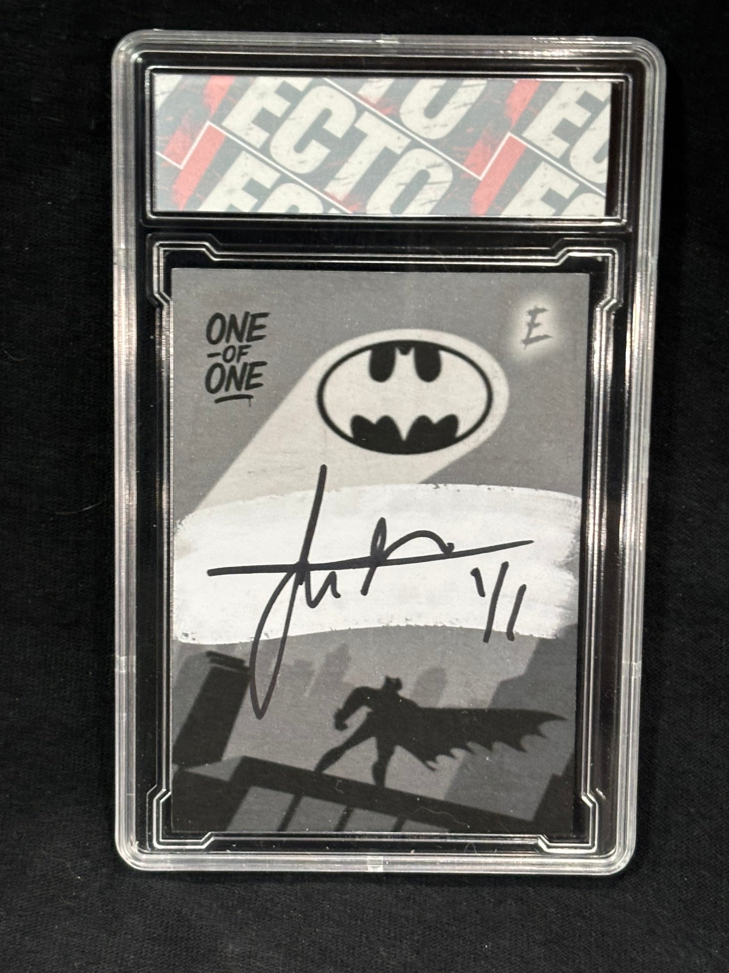 Batman & Robin – "Animated Rogues Gallery" – (Ecto Selecto Custom 1/1 Holo Cards)