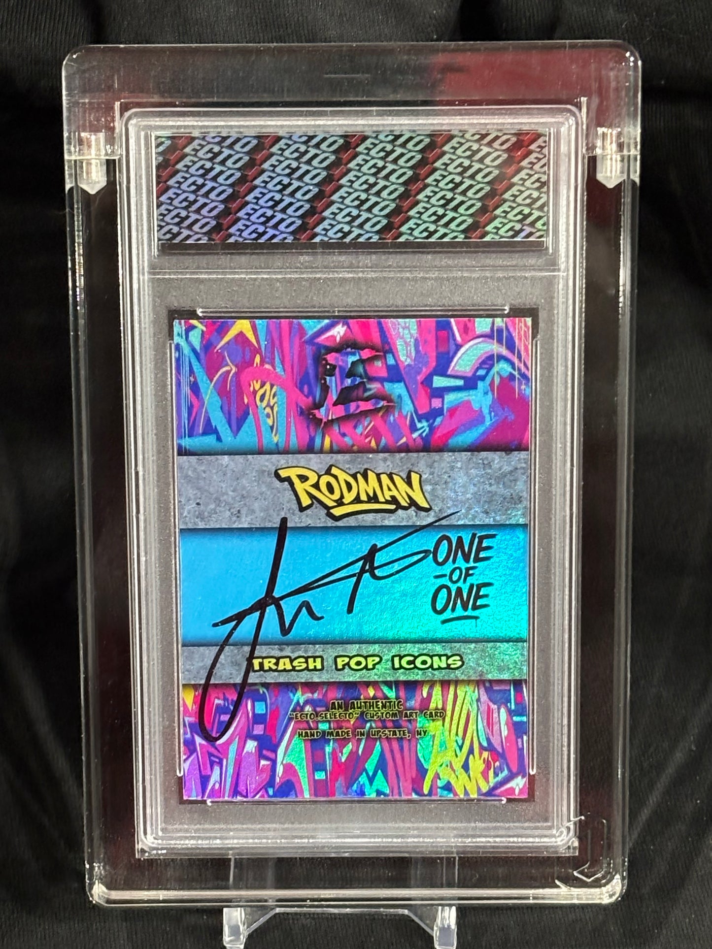 Dennis Rodman – "Trash Pop Icons" – Limited Edition (Ecto 1/1 & Variants)