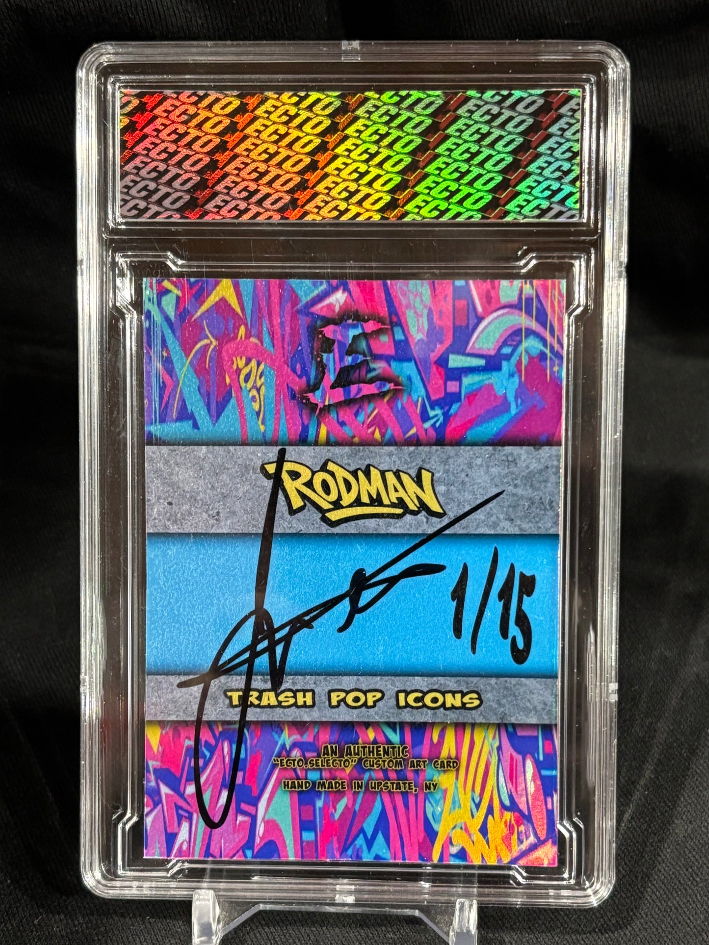 Dennis Rodman – "Trash Pop Icons" – Limited Edition (Ecto 1/1 & Variants)