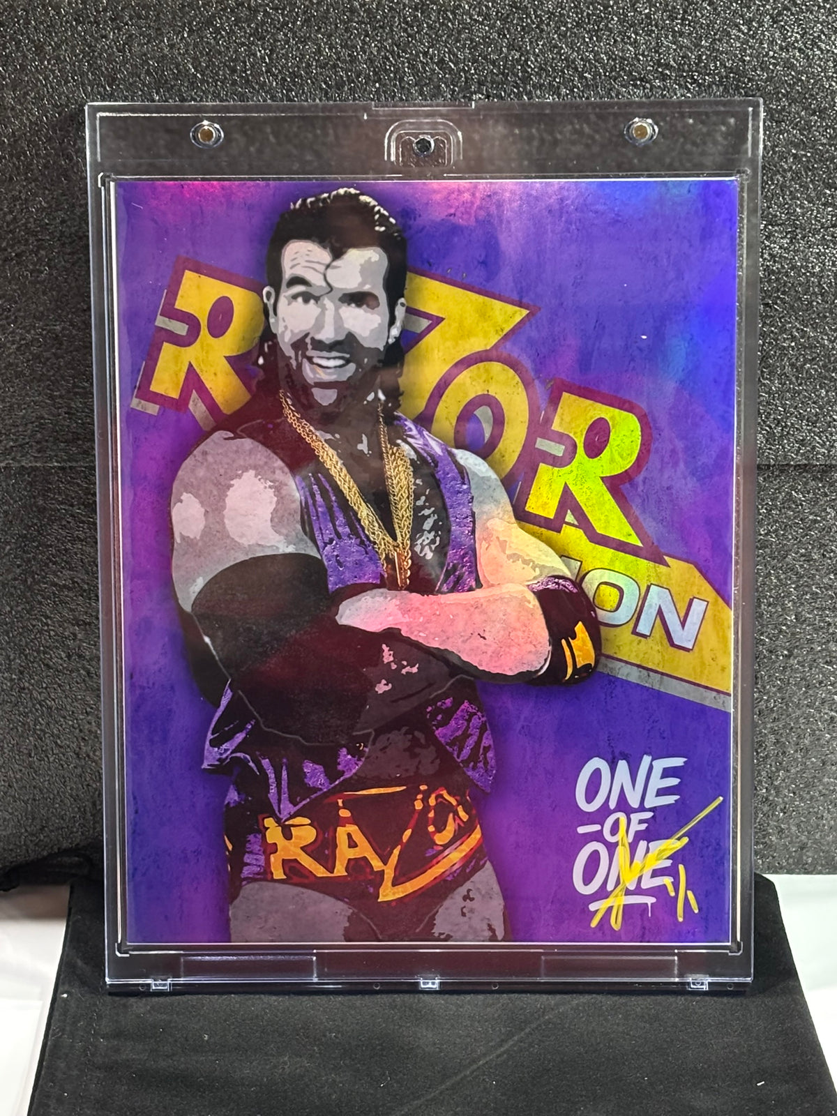 80s Mullet Razor Ramon Custom 8x10 Razor Ramon Collage Edit by Ecto Selecto - Limited to 9 ...