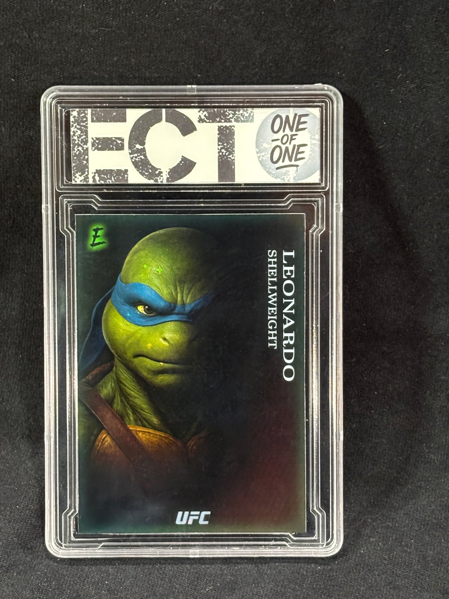 Leonardo – “Shellweight Division” – (Ecto 1/1 Custom TMNT Card)