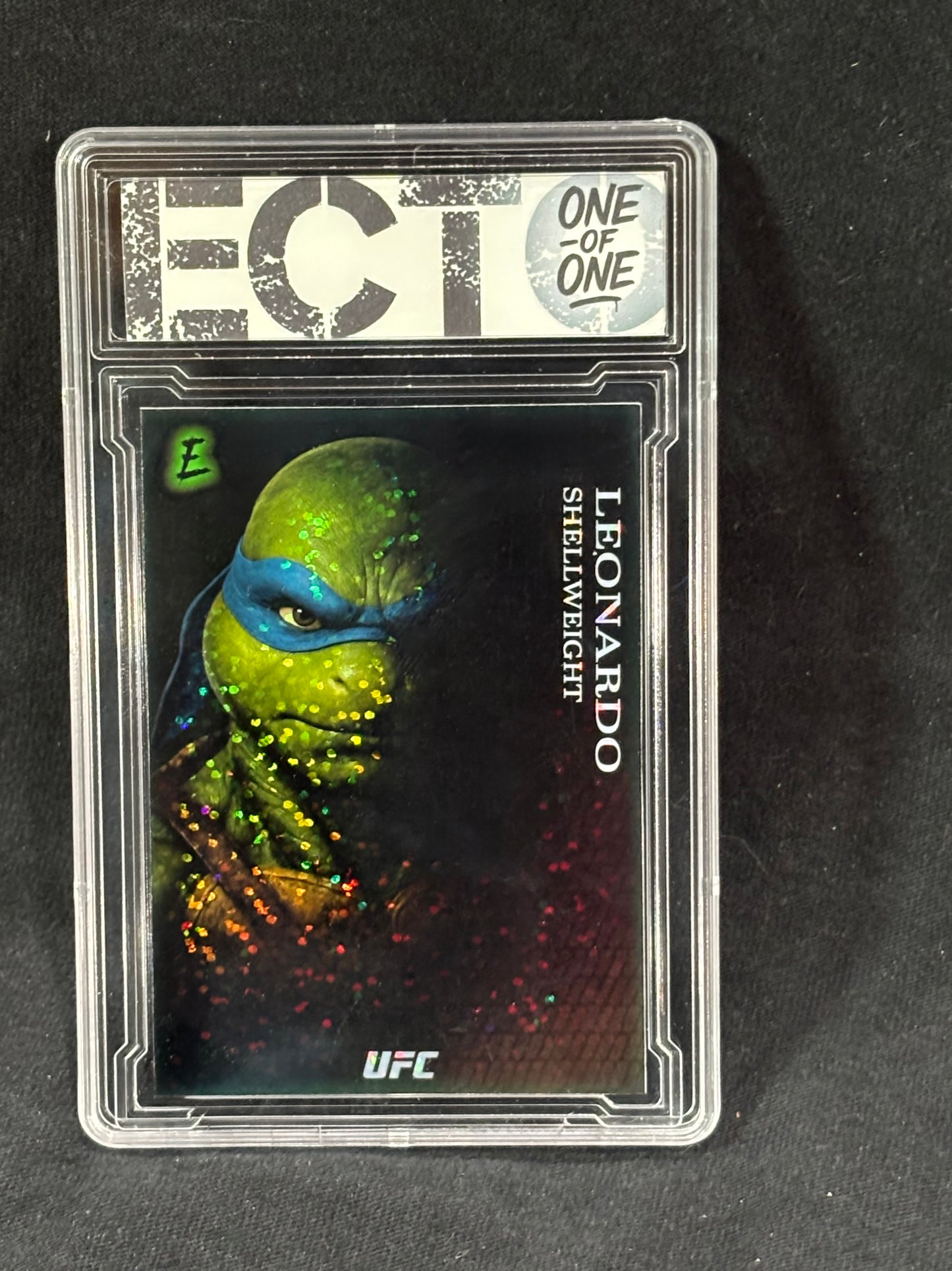 Leonardo – “Shellweight Division” – (Ecto 1/1 Custom TMNT Card)