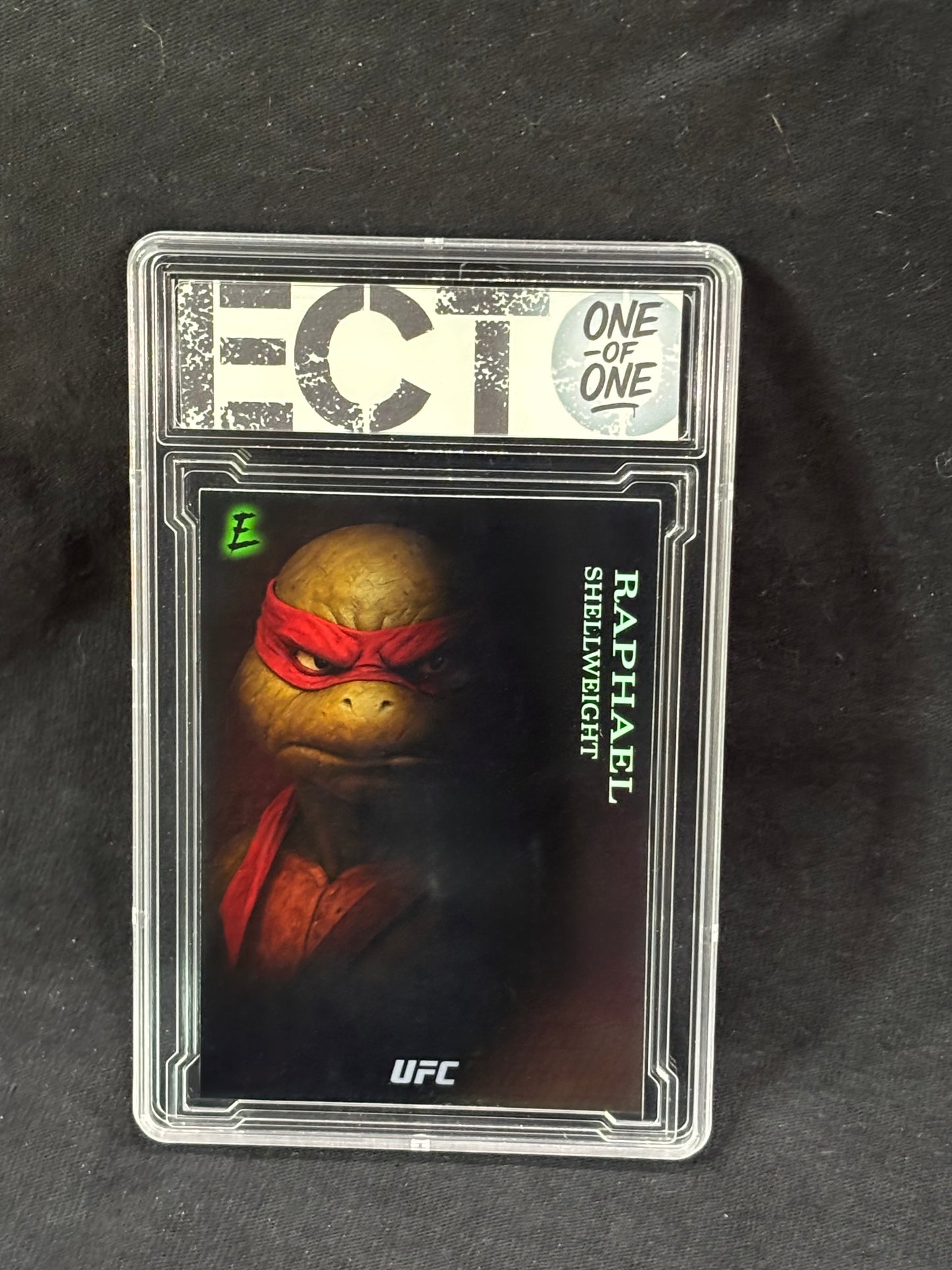 Raphael – “Shellweight Division” – (Ecto 1/1 Custom   TMNT Card)
